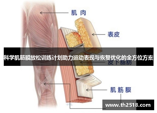 科学肌筋膜放松训练计划助力运动表现与恢复优化的全方位方案