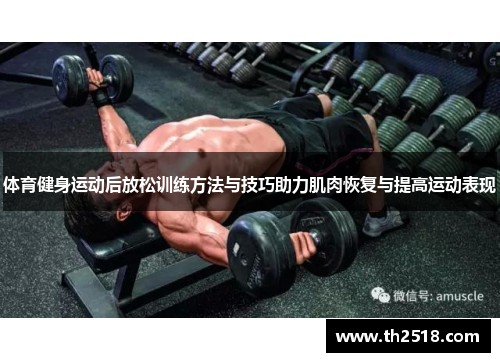 体育健身运动后放松训练方法与技巧助力肌肉恢复与提高运动表现