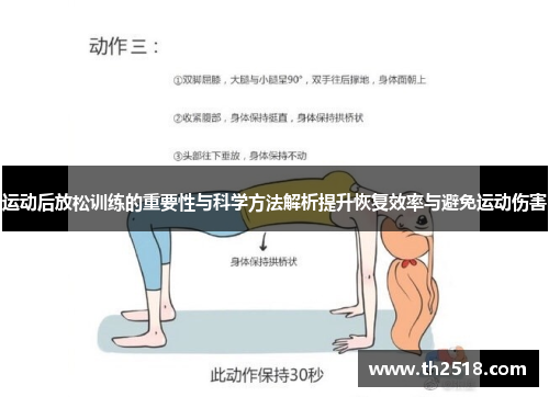 运动后放松训练的重要性与科学方法解析提升恢复效率与避免运动伤害